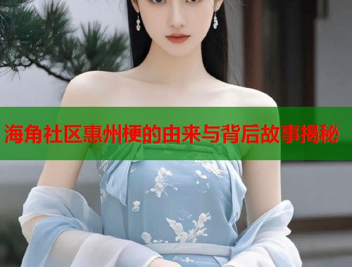海角社区惠州梗的由来与背后故事揭秘