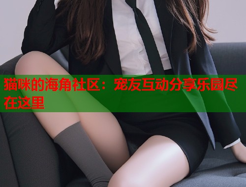 猫咪的海角社区：宠友互动分享乐园尽在这里