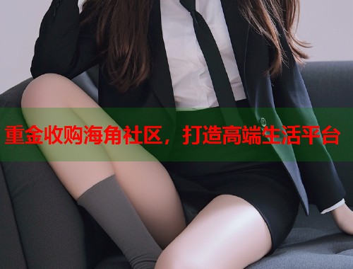 重金收购海角社区，打造高端生活平台